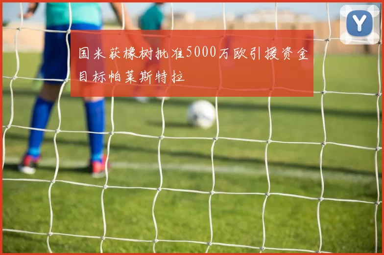 国米获橡树批准5000万欧引援资金目标帕莱斯特拉
