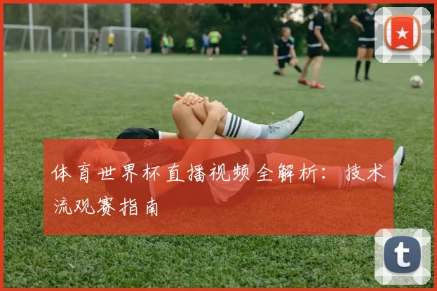 体育世界杯直播视频全解析：技术流观赛指南
