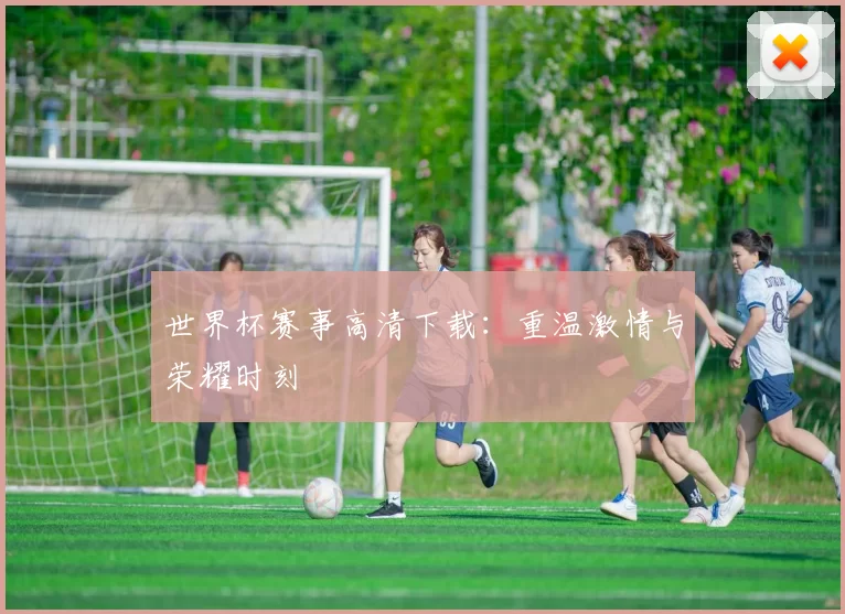 世界杯赛事高清下载:重温激情与荣耀时刻