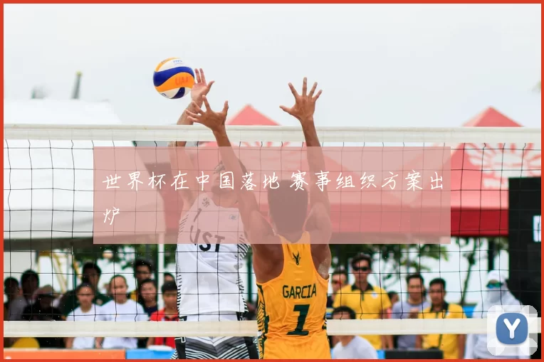 世界杯在中国落地 赛事组织方案出炉
