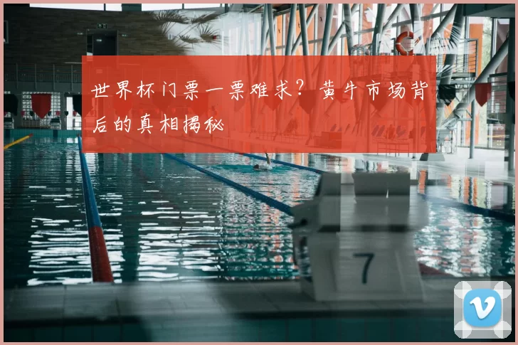 世界杯门票一票难求?黄牛市场背后的真相揭秘