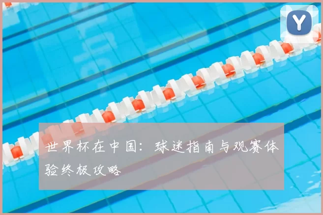 世界杯在中国:球迷指南与观赛体验终极攻略