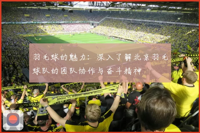 羽毛球的魅力:深入了解北京羽毛球队的团队协作与奋斗精神