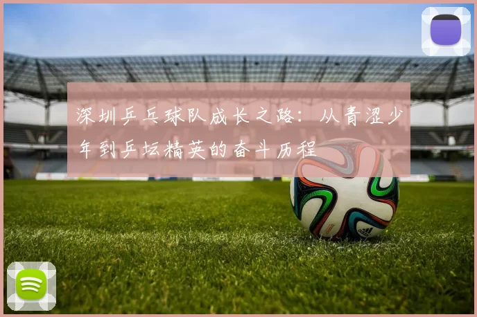深圳乒乓球队成长之路：从青涩少年到乒坛精英的奋斗历程