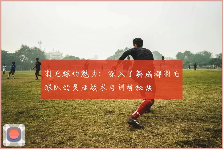 羽毛球的魅力:深入了解成都羽毛球队的灵活战术与训练秘诀