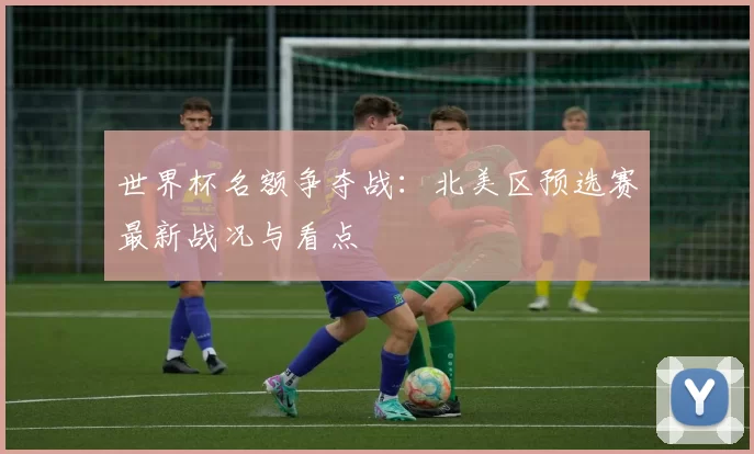 世界杯名额争夺战:北美区预选赛最新战况与看点