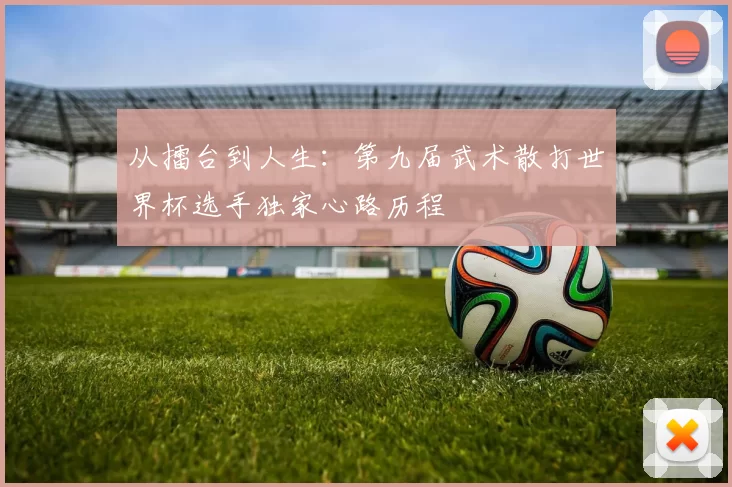 从擂台到人生:第九届武术散打世界杯选手独家心路历程