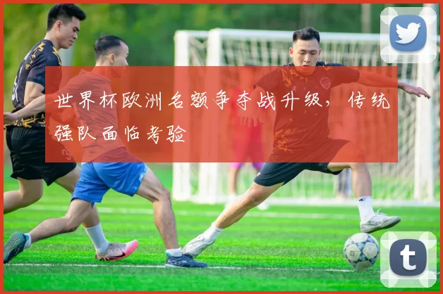 世界杯欧洲名额争夺战升级,传统强队面临考验