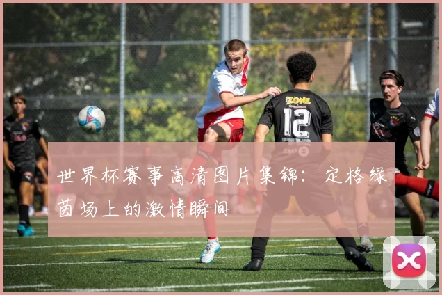 世界杯赛事高清图片集锦：定格绿茵场上的激情瞬间