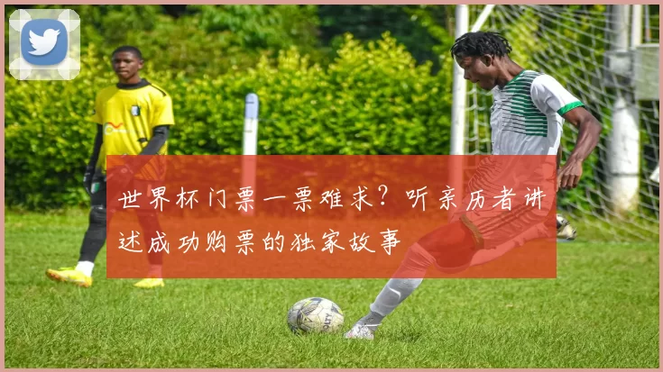 世界杯门票一票难求?听亲历者讲述成功购票的独家故事