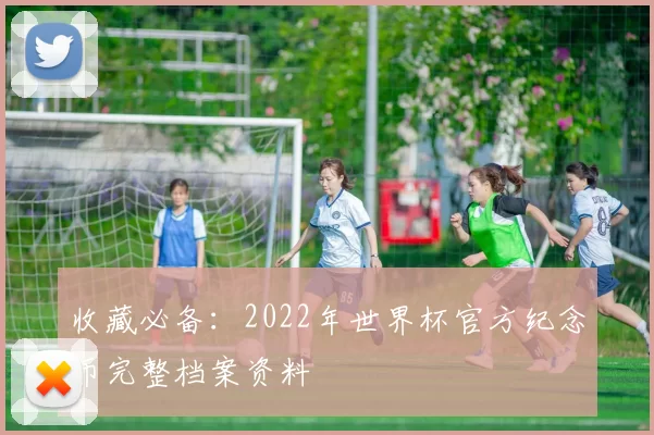 收藏必备:2022年世界杯官方纪念币完整档案资料