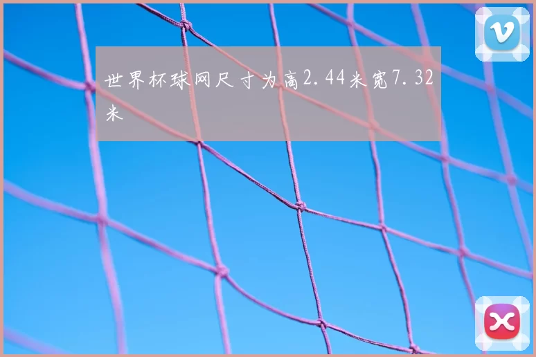 世界杯球网尺寸为高2.44米宽7.32米