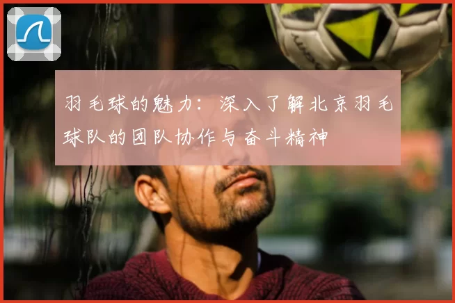 羽毛球的魅力:深入了解北京羽毛球队的团队协作与奋斗精神