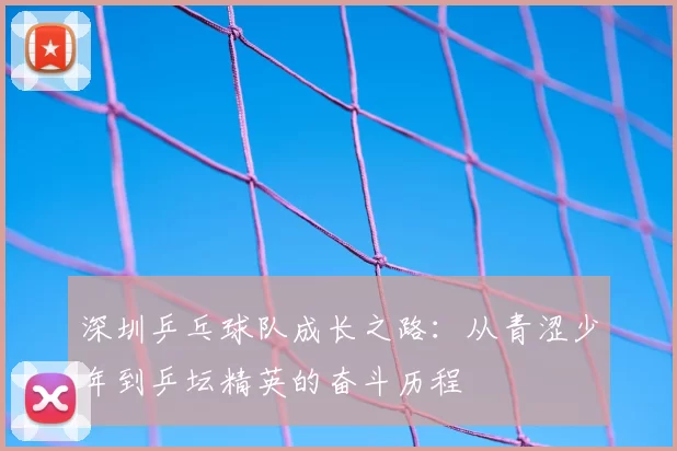 深圳乒乓球队成长之路：从青涩少年到乒坛精英的奋斗历程