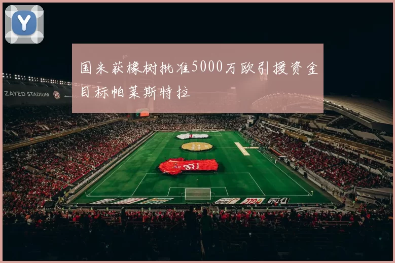 国米获橡树批准5000万欧引援资金目标帕莱斯特拉