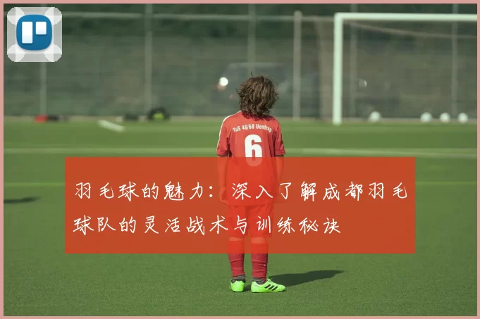 羽毛球的魅力：深入了解成都羽毛球队的灵活战术与训练秘诀