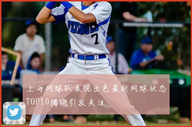 上海网球队表现出色最新网球状态TOP10揭晓引发关注