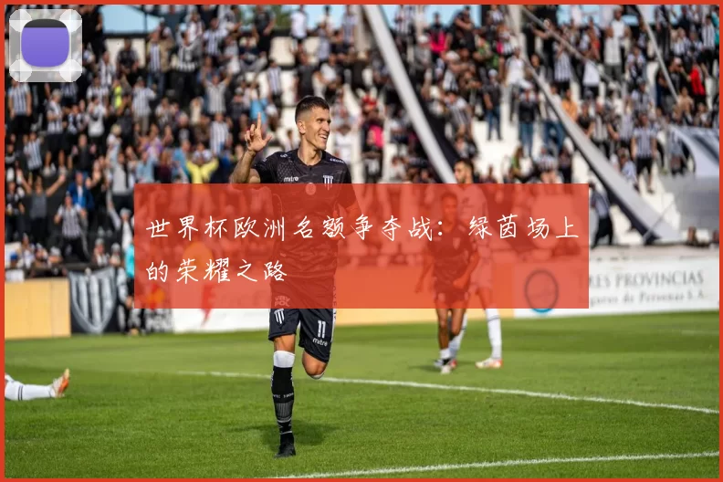 世界杯欧洲名额争夺战：绿茵场上的荣耀之路