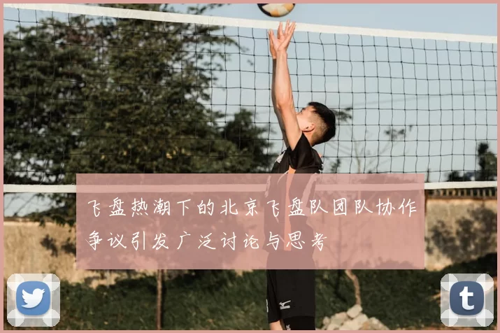 飞盘热潮下的北京飞盘队团队协作争议引发广泛讨论与思考