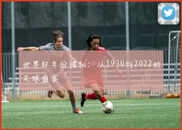 世界杯年份揭秘:从1930到2022的足球盛宴